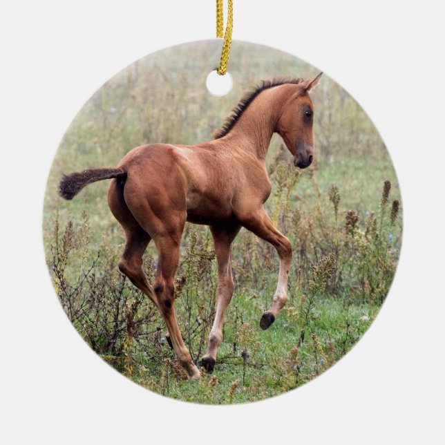 Playful foal ceramic tree decoration (Front)