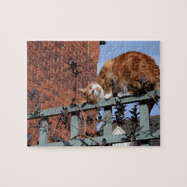 Playful Ginger Cat Jigsaw Puzzle (Horizontal)
