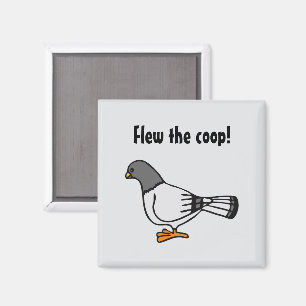 Playful Gray Pigeon Cartoon New Address Postcard  Magnet