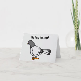 Playful Grey Pigeon Cartoon New Address Postcard