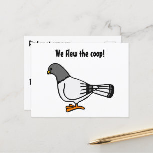 Playful Grey Pigeon Cartoon New Address Postcard 