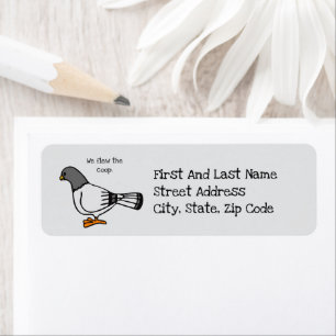 Playful Grey Pigeon Cartoon New Travels or Address