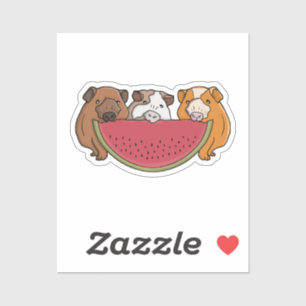 Playful Guinea Pigs and Watermelon Illustration