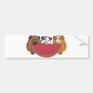 Playful Guinea Pigs and Watermelon Illustration Bumper Sticker