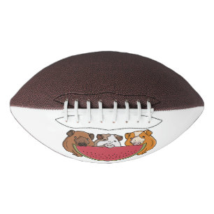 Playful Guinea Pigs and Watermelon Illustration Football
