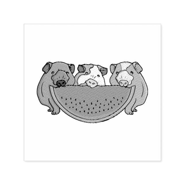 Playful Guinea Pigs and Watermelon Illustration Self-inking Stamp (Design)
