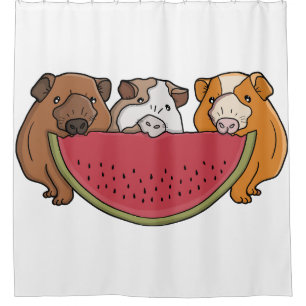 Playful Guinea Pigs and Watermelon Illustration Shower Curtain