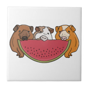 Playful Guinea Pigs and Watermelon Illustration Tile