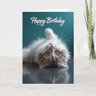 Playful Kitten Birthday Card