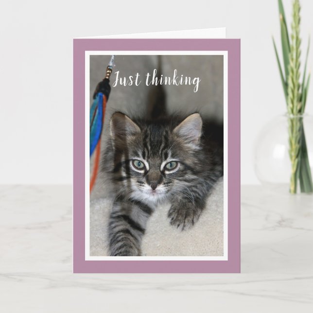 Playful Kitten Friendship Card (Front)
