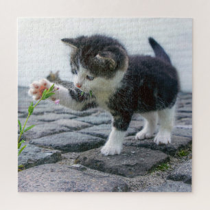 Playful Kitten Jigsaw Puzzle