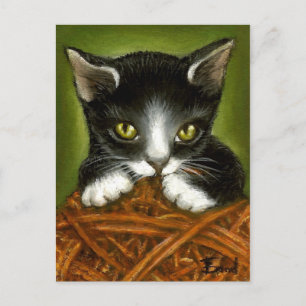 Playful kitten postcard
