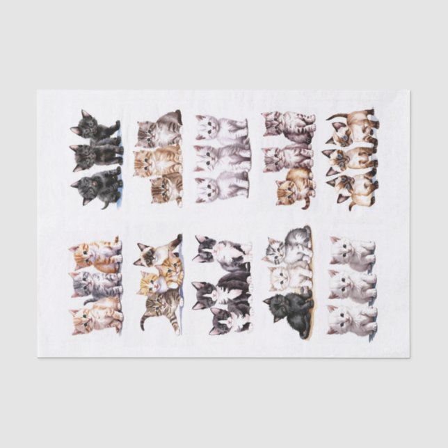 Playful Kittens in Sets of Three Fussy Cuts Tissue Paper (Front)