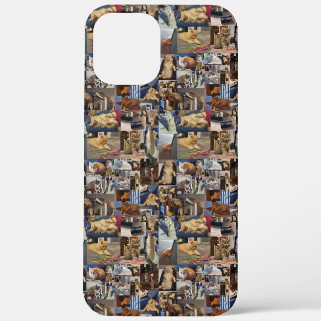 Playful Kittens Photo Collage,  Case-Mate iPhone Case (Back)