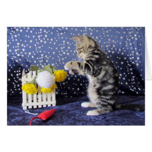 Playful Little Girl - Lilo