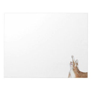 Playful orange and white tabby notepad