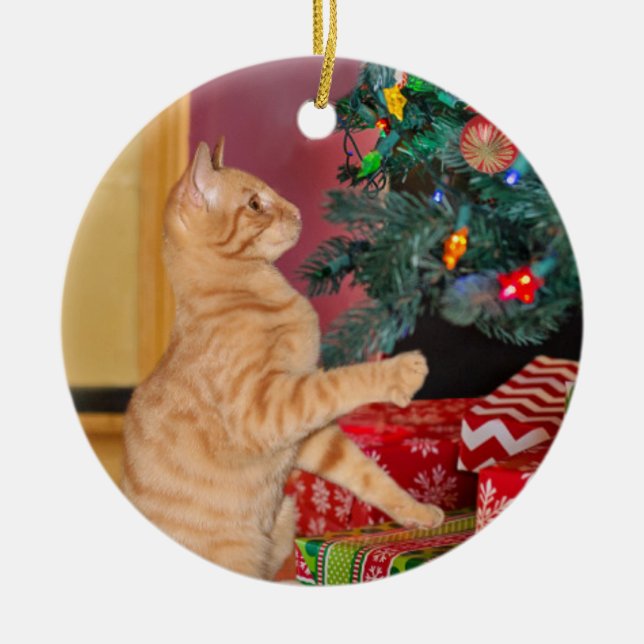 Playful Orange Tabby Christmas Ceramic Tree Decoration (Front)