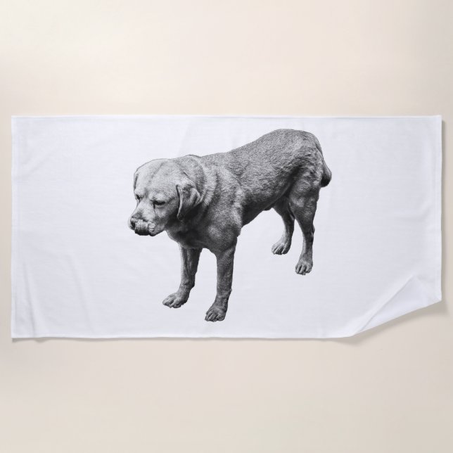 Playful Pause Beach Towel (Front)