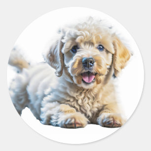 Playful Poodle Puppy Classic Round Sticker