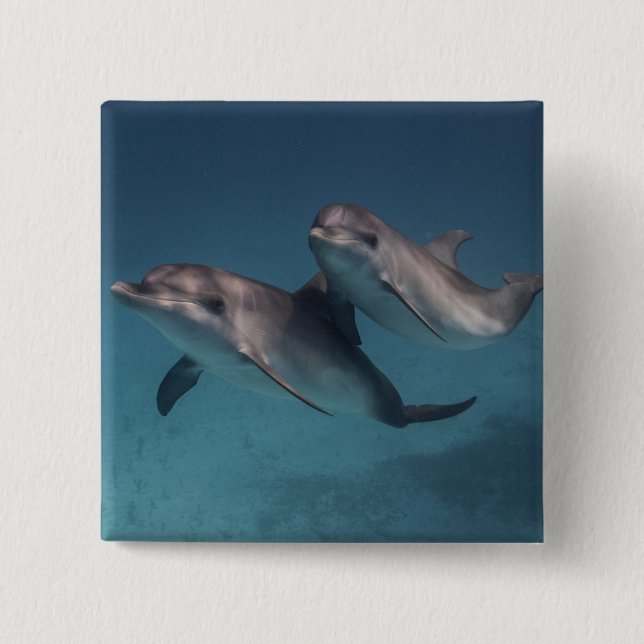 Playful Pose 15 Cm Square Badge (Front)