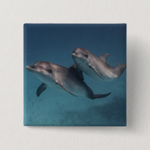 Playful Pose 15 Cm Square Badge