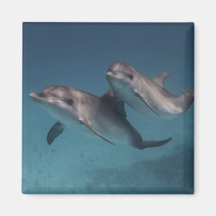 Playful Pose Magnet