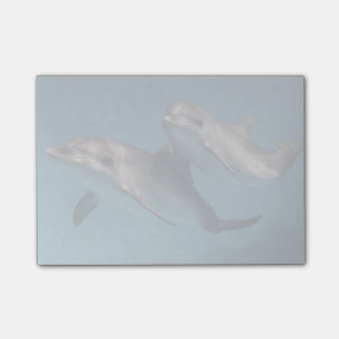 Playful Pose Post-it Notes