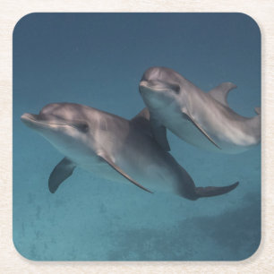 Playful Pose Square Paper Coaster