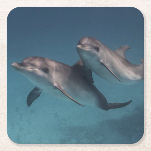 Playful Pose Square Paper Coaster (Front)