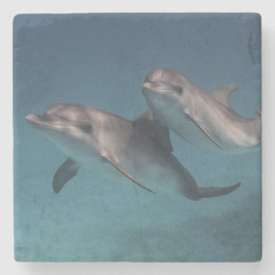 Playful Pose Stone Coaster