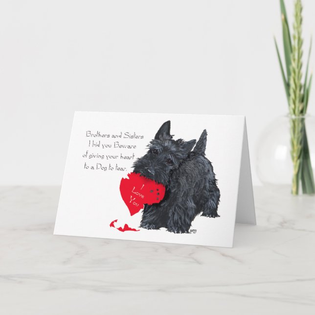 Playful Scottish Terrier Valentine Card (Front)