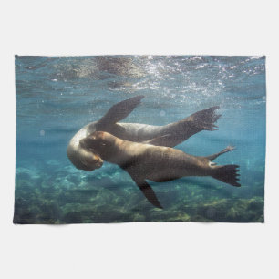 Playful sea lions Galapagos Islands Tea Towel