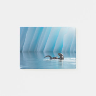 Playful Sea Otter Post-it Notes