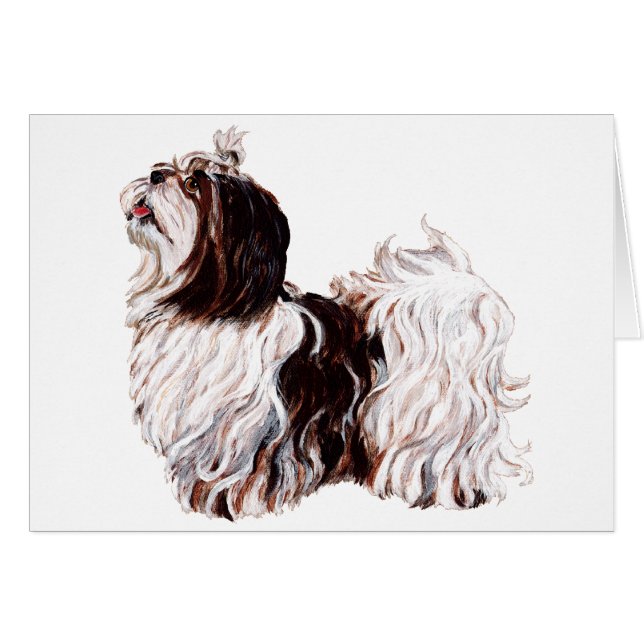 Playful Shih Tzu (Front Horizontal)