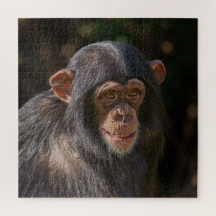 Playful Soul – Baby Chimpanzee Close-Up Jigsaw Puzzle