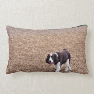 Playful Springer Spaniel Lumbar Cushion