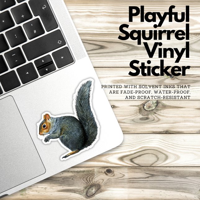 Playful Squirrel Vinyl Sticker (squirrel sticker, cute sticker, animal sticker, vinyl sticker, waterproof sticker, laptop sticker, w)