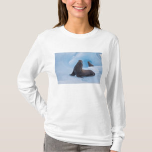 Playful stellar sea lions wrestle on iceberg T-Shirt
