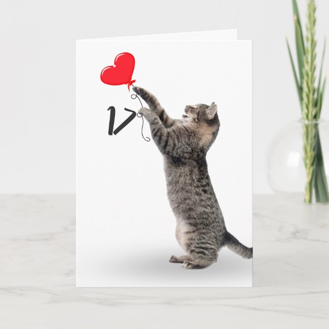 playful tabby cat for 17th birthday card (Front)