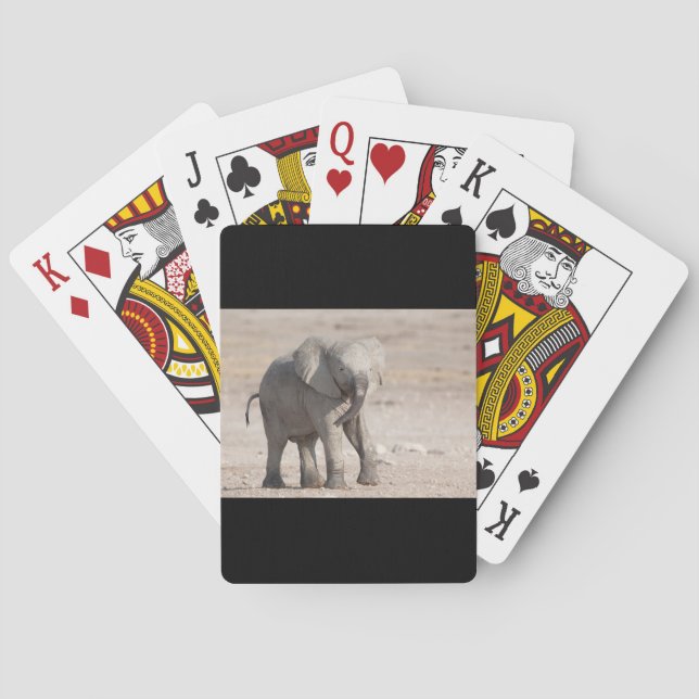 Playful young elephant playing cards (Back)
