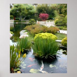 Playground for the Koi Poster