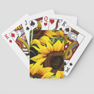 Playing Cards