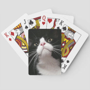 playing cards