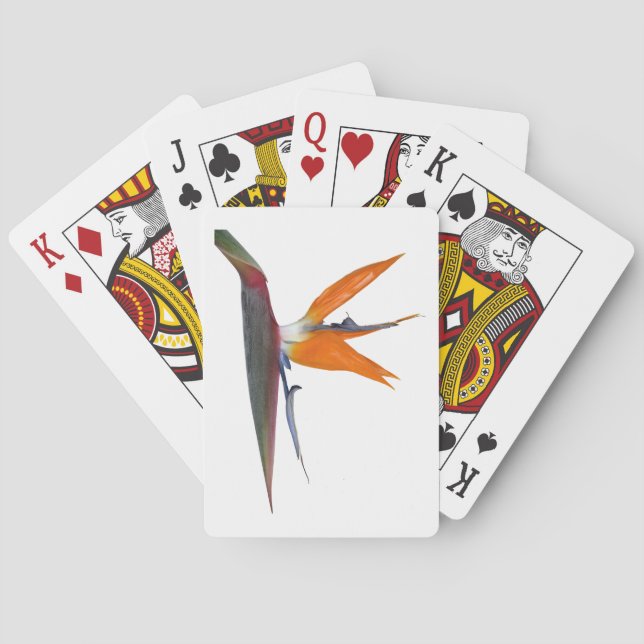 Playing Cards (Back)