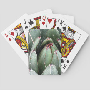 Playing Cards Aloe