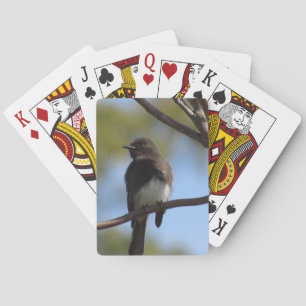 Playing cards - Black Phoebe on Branch