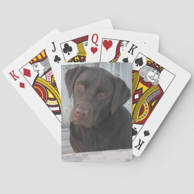 Playing Cards - Chocolate Lab (Back)