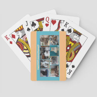 Playing cards featuring PipersPuddycats