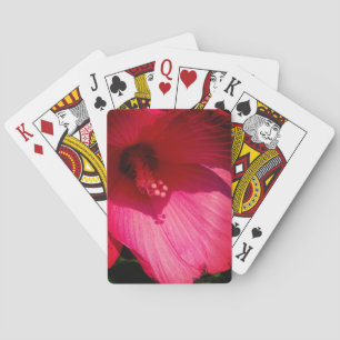 Playing Cards Flower Pink Close-up photo