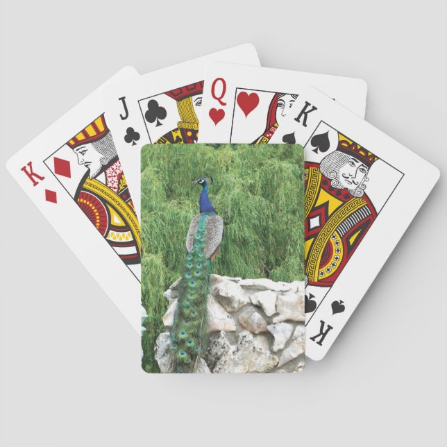 Playing Cards Peacock in garden (Back)